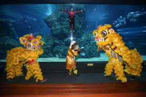 โชว์มัจฉานุดำน้ำพร้อมเชิดสิงโตที่ซีไลฟ์ฯ (2)