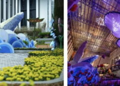 WONDARA – The Power of Flower – Immersive Exhibition แลนด์มาร์กท่องเที่ยวแห่งใหม่ จ.ระยอง ชวนให้สัมผัสกับพลังแห่งดอกไม้แบบ 4 มิติ เปิดให้เข้าชมแล้ววันนี้ จองบัตรเข้าชมได้ทาง Zipevent