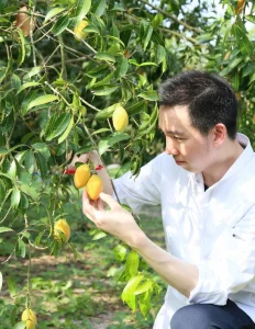 Kyo Roll En เปิดตัว Chef Series!!  โดยเชฟเดช คิ้วคชา แชมป์ขนมหวานเอเชียคนแรกของไทย พร้อม 7 เมนูมะยงชิด ของดีจากสวนนครนายก