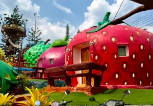 ถิ่นวัฒนธรรมทั่วไทยไปกับพี่หนุ่ม-สุทน รุ่งธัญรัตน์ : พาไปรู้จักเขาค้อดรีมแลนด์รีสอร์ทบ้านผลไม้ อำเภอเขาค้อ จังหวัดเพชรบูรณ์ เป็นบ้านพักรูปผลไม้ดูโดดเด่นมาก