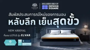 Lotus Mattress เปิดตัว ELVAR ที่สุดของที่นอนเทคโนโลยีใหม่ล่าสุด โอบรับสรีระอย่างมั่นคง เย็นสบายกว่าที่นอนทั่วไป เฉพาะที่ SB Design Square เท่านั้น